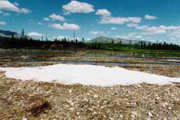 ��������������� ������