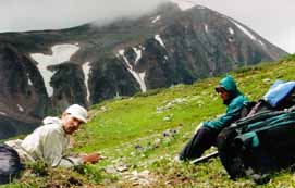 ������� ���� � ��������