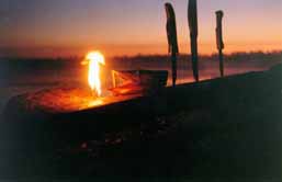 ���� ����� ������