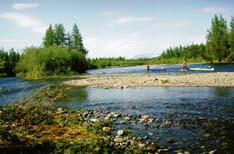 �.����-�������